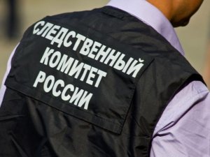 В центральный аппарат СК России будет представлен доклад о расследовании уголовного дела по факту смерти ребенка в Московской области